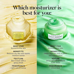 Farmacy Daily Greens Oil Free Face Moisturizer - Gel Moisturizer for Oily Skin with Polyglutamic + Hyaluronic Acid - Light Facial Moisturizer to Minimize Pores + Control Shine - Fragrance Free (50ml)