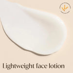 Aveeno Daily Moisturizing Face Lotion, Fragrance Free, 12 fl. oz