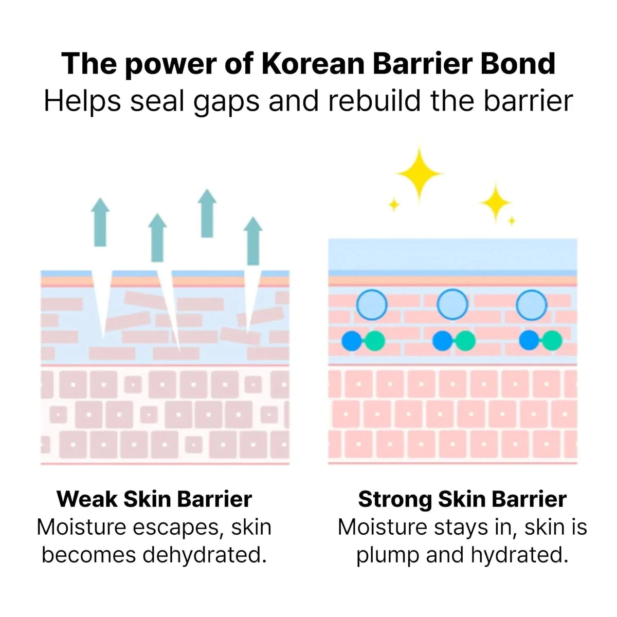 Dr.Jart+ Derma Barrier Korean Face Cream | Korean Skin Barrier Moisturizer with Panthenol | Korean Skin Care, 2.71 Fl Oz